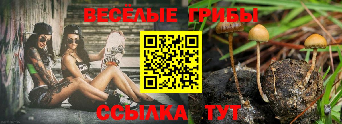 Псилоцибиновые грибы Cubensis Орск