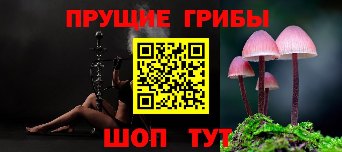 Псилоцибиновые грибы прущие грибы  Вход с VPN  Орск 